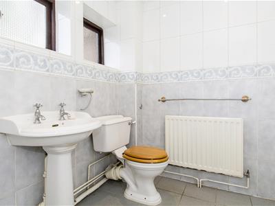 Picture 20